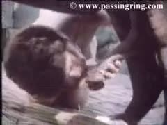 A gorgeous Indian woman is toying with a horse's dick.